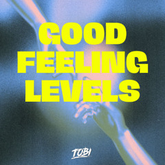 Flo Rida & Avicii - Good Feeling Levels (TOBI's Drum & Bass Edit)