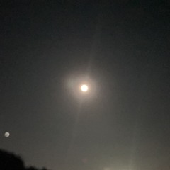 永い言い訳 中村佳穂 cover