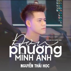 ĐƠN PHƯƠNG MÌNH ANH REMIX - THÁI HỌC | anh đã từng đem suy nghĩ chuyện tình mình