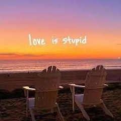 Love Is Stupid by Sammy Rash