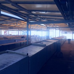 HOERMASCHINE81 tarzanvsibm