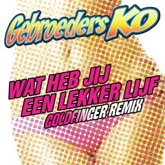 Wat Heb Jij Een Lekker Lijf (Goldfinger Remix)