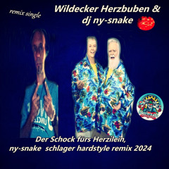 Der Schock fürs Herzilein, ny-snake  schlager hardstyle remix 2024