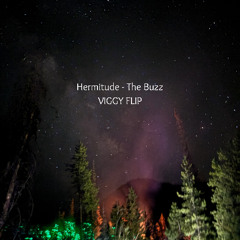 Hermitude - The Buzz (VIGGY FLIP)