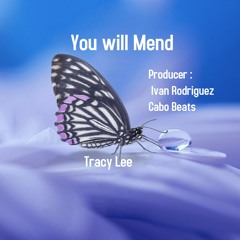 You Will Mend Tracy Lee & Producer Ivan Rodriguez