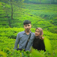 BUDI DOREMI - Ling Ling .mp3