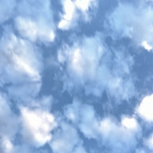 Weather report in heaven w/ Bobby Ogden 160824
