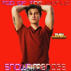 Shawn Mendes - Top Of The World (Furi DRUMS Remix) FREE DOWNLOAD