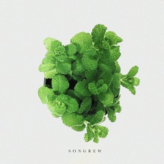 노을과 그림자들 (Sunset and Shadows)