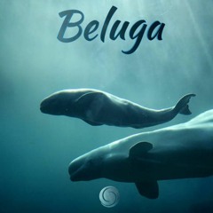 PGT - Beluga