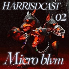 Micro blvm - Har(ris)dcast 02