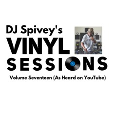 Vinyl Session Vol.17