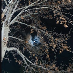 Bemoon Ft Iman Afra Live (Mohsen Yegane)