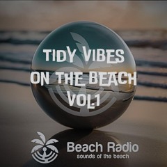 Tidy Vibes on the Beach 1