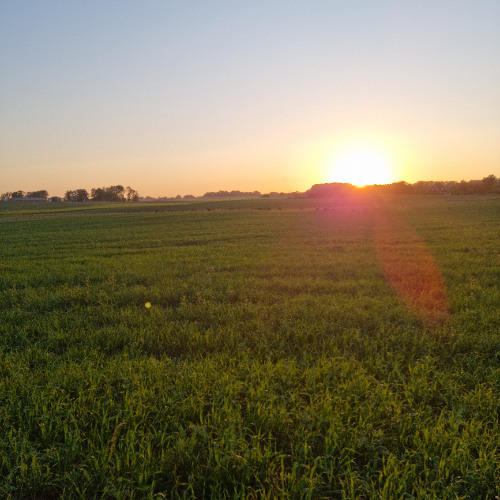 i put soundgoodizer on the guitar demo1