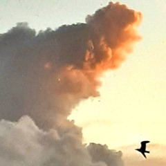 MR MOANS- Lost Horizons