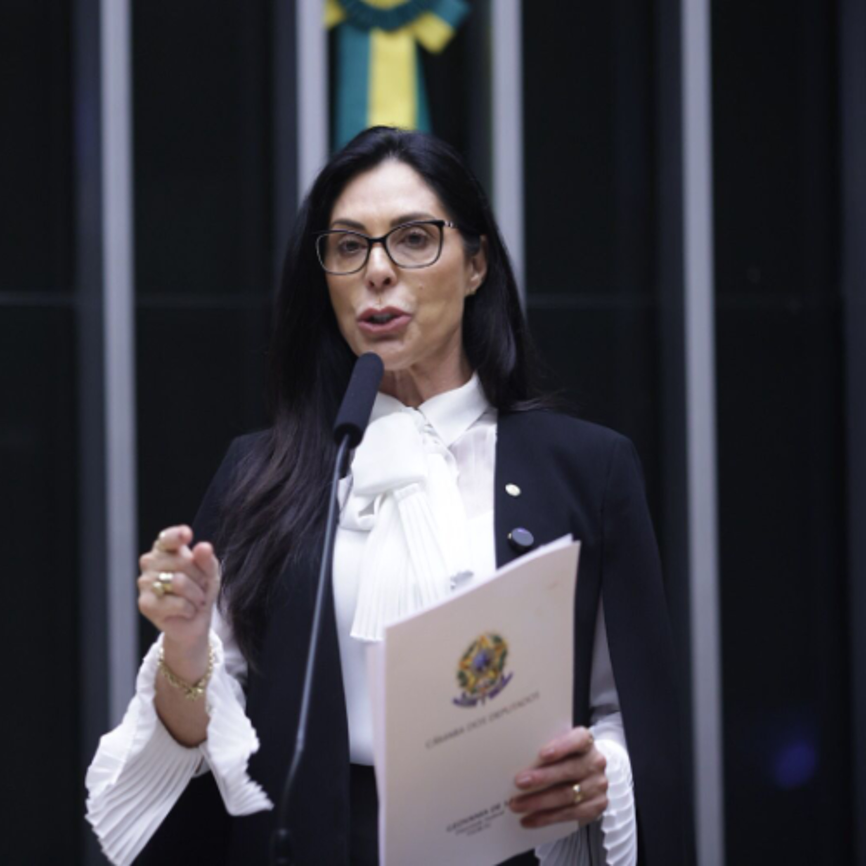 Geovania de Sá protocola urgência para projeto que reduz área da APA da Baleia Franca episode artwork