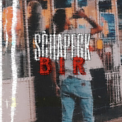 Mehnersmoos - Bir (Schapeck Hardtekk Bootleg)