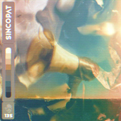 Darlyn Vlys - Momentum [Sincopat]