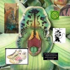 My Internet Friend 2037