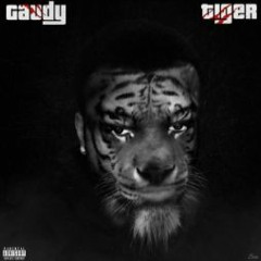 Tiger - 2guady