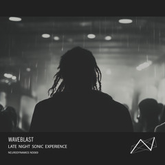 Late Night Sonic Experience 03