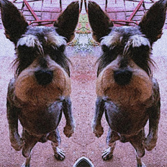 Densz Densz Densz-N̷O̷Y̷A̷(170bpm)