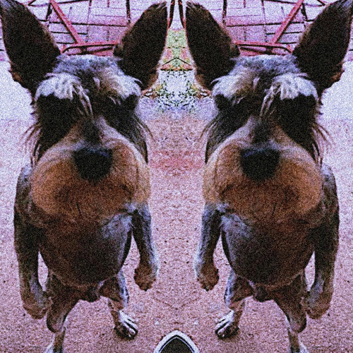 Densz Densz Densz-N̷O̷Y̷A̷(170bpm)