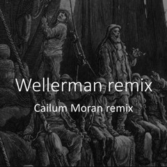 Wellerman remix (Cailum moran remix)
