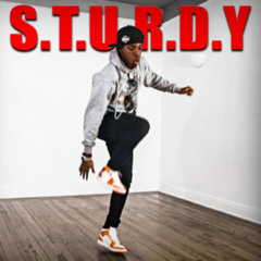 Sturdy geh Track (prod. Monstertruckpunk)