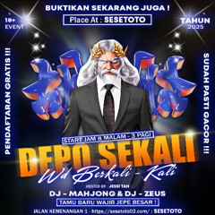 2025慢摇Prog House串烧 [VV集团专属] 2025 DJ MANYAO PRIVATE MIXTAPE