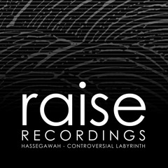 HassegawaH - Controversial Labyrinth