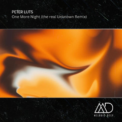 FREE DOWNLOAD: Peter Luts - One More Night (the real unknown Remix)