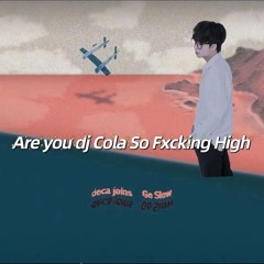 Are You Dj Cola So Fxcking High