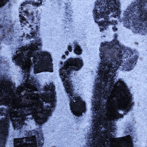 Seakin x Martin Saint - The Rabbit Track