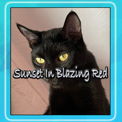 Sunset in Blazing Red