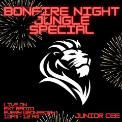 Bonfire Night Jungle Set