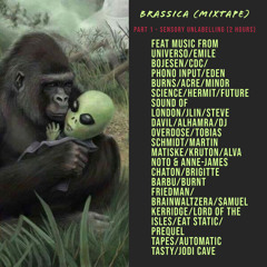 Tape 1 - Sensory Unlabelling