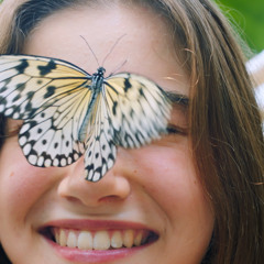 A Life on Wings