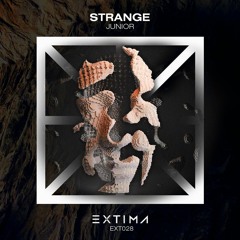 Junior (TR) - Strange (Original Mix)
