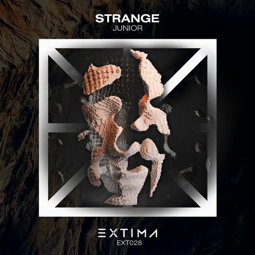 Junior (TR) - Strange (Original Mix)