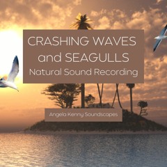 CRASHING WAVES and SEAGULLS. Natural Sound Recording