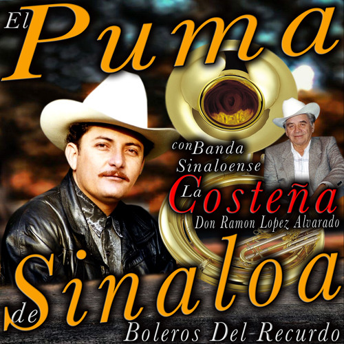 el puma de sinaloa