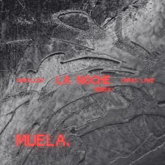 SKRILLEX, CHRIS LAKE - LA NOCHE (MUELA. REMIX)