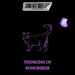 Thinking Of Songbirds