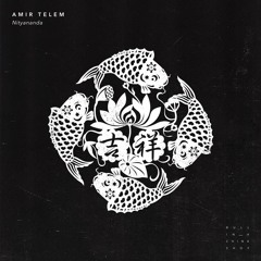 PREMIERE: Amir Telem - Nityananda (Original Mix) [Bull In A China Shop]