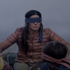 bird box