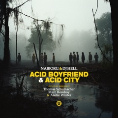 Naiborg & DJ Hell - Acid Boyfriend (Radio Mix)