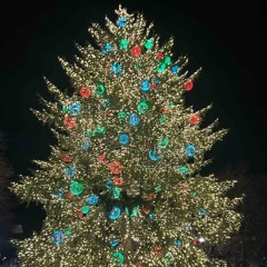 Christmas Time is here