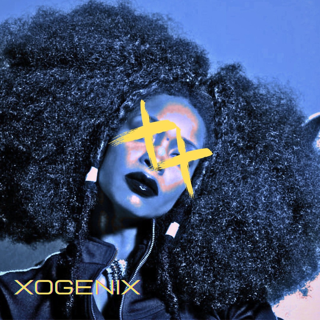 Stream Erykah Badu - Bag Lady (Xogenix Flip) [Free DL] by Xogenix